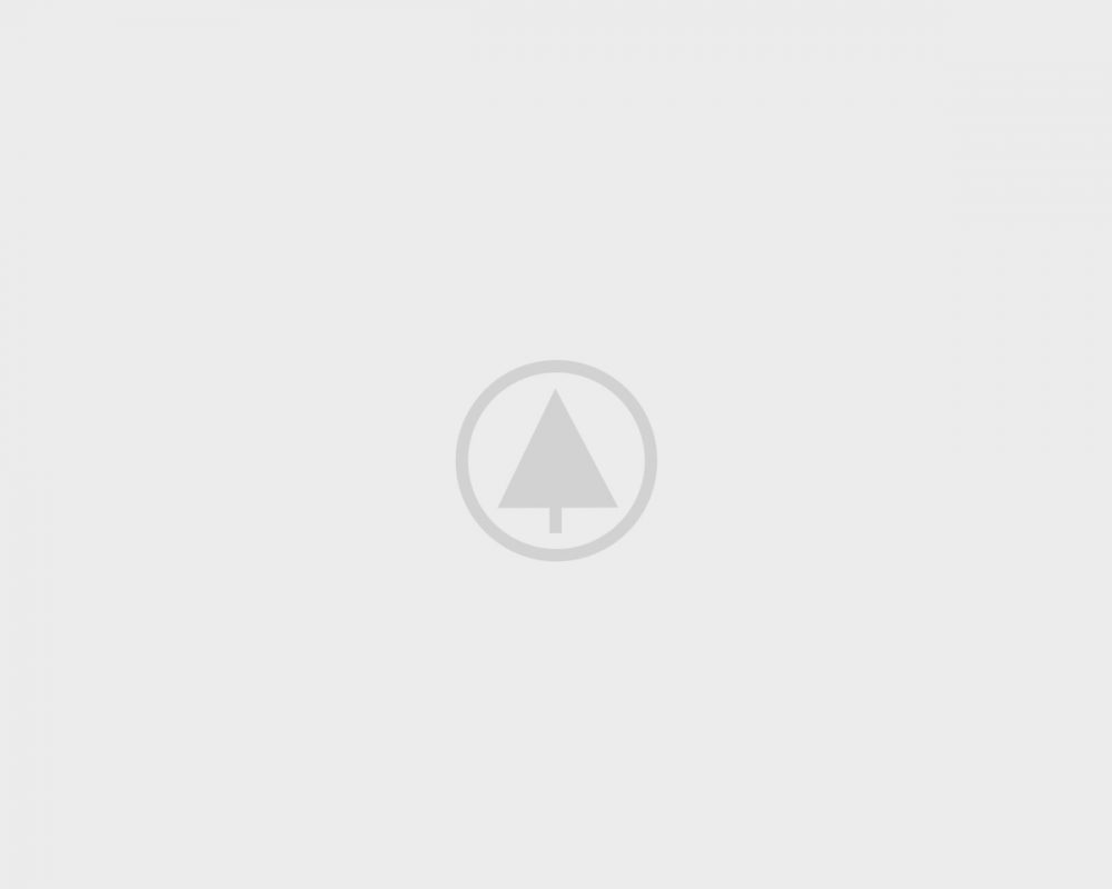 wood-gallery-placeholder-5